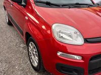 Usata Fiat Panda Dynamic 69 CV (50 kW) 2012 Rosso Utilitaria
