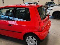 Usata VW Lupo Trendline 50 CV (36 kW) 2000 Rosso Utilitaria