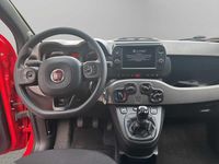Usata Fiat Panda Sport 69 CV (50 kW) 2021 Rosso Utilitaria