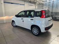 Nuova Fiat Panda Pop 69 CV (50 kW) 2026 Bianco gelato / vari colori Utilitaria