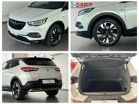 Usata Opel Grandland X Ultimate 131 CV (96 kW) 2020 Viola SUV