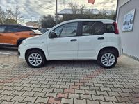 Usata Fiat Panda Easy 84 CV (61 kW) 2020 Bianco Utilitaria
