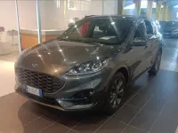 Usata Ford Kuga ST-Line 225 CV (165 kW) 2021 Grigio SUV