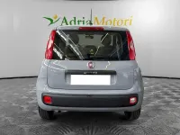 Usata Fiat Panda Lounge 69 CV (50 kW) 2020 Grigio Utilitaria