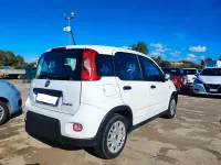 Usata Fiat Panda S 69 CV (50 kW) 2023 Bianco Utilitaria