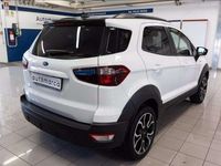 Usata Ford Ecosport Active 125 CV (91 kW) 2021 Bianco SUV