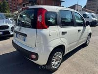 Usata Fiat Panda Easy 69 CV (50 kW) 2019 Bianco Berlina