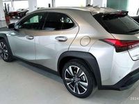 usata Lexus UX Hybrid Executive del 2019 usata a Pescara