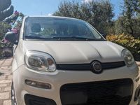 usata Fiat Panda 3ª serie - 2017