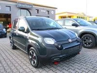 Usata Fiat Panda Cross Cross 70 CV (51 kW) 2024 Verde Utilitaria