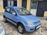Usata Fiat Panda 4x4 Climbing 74 CV (54 kW) 2010 Blu Utilitaria