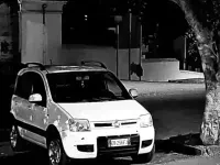 Usata Fiat Panda 60 CV (44 kW) 2010 Bianco Utilitaria