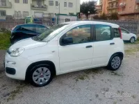 Usata Fiat Panda Lounge 69 CV (50 kW) 2013 Bianco Utilitaria