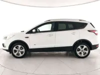 Usata Ford Kuga Titanium S 150 CV (110 kW) 2018 Bianco SUV
