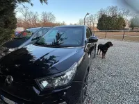 Usata SsangYong Tivoli 128 CV (94 kW) 2019 Nero SUV