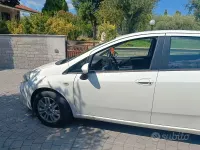 Usata Fiat Punto 75 CV (55 kW) 2015 Bianco Utilitaria