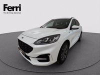 Usata Ford Kuga ST-Line 190 CV (139 kW) 2022 Bianco frozen SUV