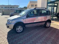 Usata Fiat Panda 4x4 Climbing 69 CV (50 kW) 2006 Grigio Utilitaria