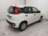 Nuova Fiat Panda Icon 69 CV (50 kW) 2025 Bianco Utilitaria