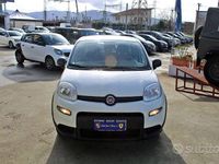 Usata Fiat Panda S 71 CV (52 kW) 2023 Bianco Utilitaria