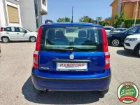 Usata Fiat Panda Dynamic 60 CV (44 kW) 2009 Bluazzurro Utilitaria