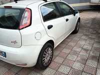 Usata Fiat Punto 77 CV (56 kW) 2014 Bianco Utilitaria