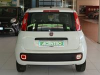 usata Fiat Panda - 1.0 70cv HYBRID