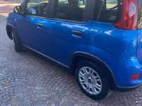 Usata Fiat Panda S 69 CV (50 kW) 2024 Blu/azzurro Utilitaria