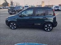 Usata Fiat Panda Icon 70 CV (51 kW) 2025 Verde Berlina