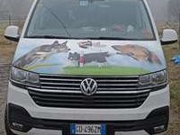 usata VW Caravelle T6.1Cruise