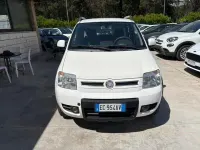 Usata Fiat Panda 4x4 Climbing 69 CV (50 kW) 2010 Bianco Utilitaria