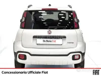 Usata Fiat Panda Cross Cross 70 CV (51 kW) 2023 Bianco Utilitaria