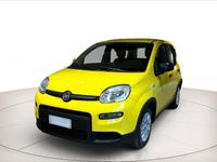 Usado Fiat Panda S 70 CV (51 kW) 2024 Amarillo Utilitario