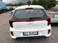Usata Kia Picanto Urban 63 CV (46 kW) 2025 Bianco Utilitaria