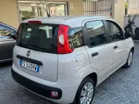 Usata Fiat Panda Lounge 95 CV (69 kW) 2016 Beige Utilitaria