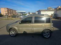Usata Fiat Panda 4x4 Cross 75 CV (55 kW) 2011 Beige Utilitaria