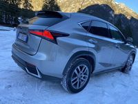 Usata Lexus NX300h E-FOUR Executive Line 196 CV (144 kW) 2018 SUV