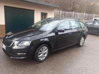 usata Skoda Octavia 3ª serie - 2019