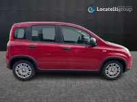 Usata Fiat Panda S 69 CV (50 kW) 2024 Bianco Utilitaria