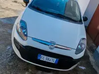 Usata Fiat Punto 75 CV (55 kW) 2011 Utilitaria