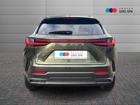 Usata Lexus NX450h+ Luxury Line 309 CV (227 kW) 2022 Grigio SUV