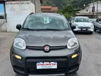 Usata Fiat Panda Cross Cross 85 CV (62 kW) 2022 Grigio Utilitaria