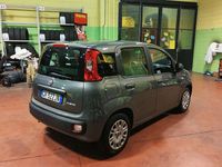 Usata Fiat Panda 69 CV (50 kW) 2021 Grigio Utilitaria