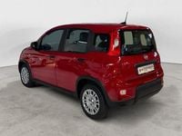 Usata Fiat Panda S 69 CV (50 kW) 2024 Rosso Utilitaria