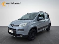 Usata Fiat Panda 4x4 S 95 CV (69 kW) 2018 Grigio chiaro Utilitaria