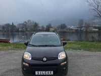 Usata Fiat Panda Lounge 69 CV (50 kW) 2013 Marrone Utilitaria