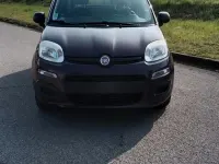 Usata Fiat Panda Classica 69 CV (50 kW) 2012 Viola Utilitaria