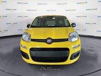 Nuova Fiat Panda Cross Cross 69 CV (50 kW) 2026 Giallo Utilitaria