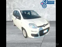 Usata Fiat Panda S 70 CV (51 kW) 2021 Bianco gelato Utilitaria