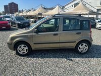 Usata Fiat Panda Dynamic 60 CV (44 kW) 2009 Grigio Utilitaria